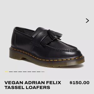 Dr Marten Adrian Loafer